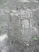 P9230007
