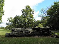 P9230009